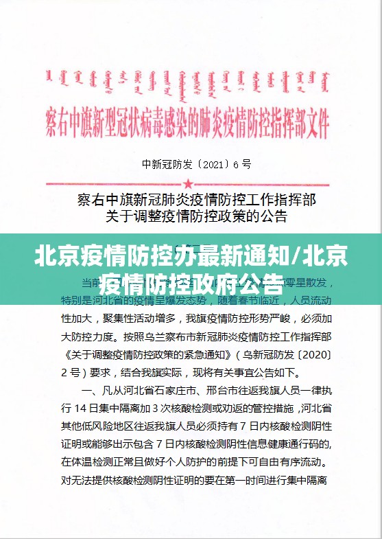 双城记，上海与长春的疫情大考与韧性之光