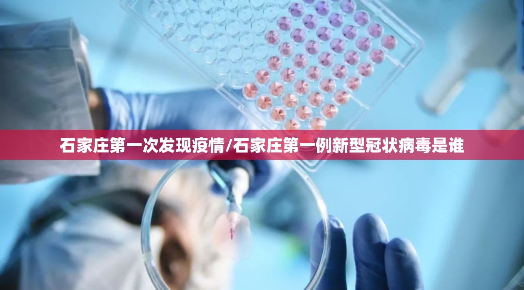 上海公布最新传染病 河北省疫情情况/上海公布最新传染病 河北省疫情