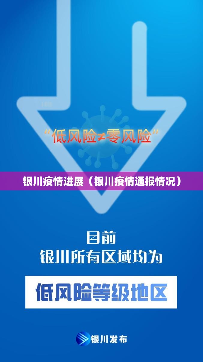 沈阳机场最新疫情管控政策详解，筑牢空中防线，保障旅客安全出行