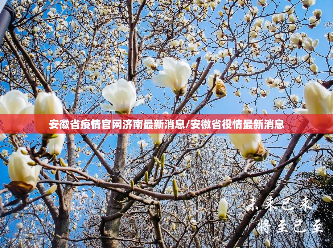 沪港疫情叠加冲击，内地防疫体系面临的双城考验