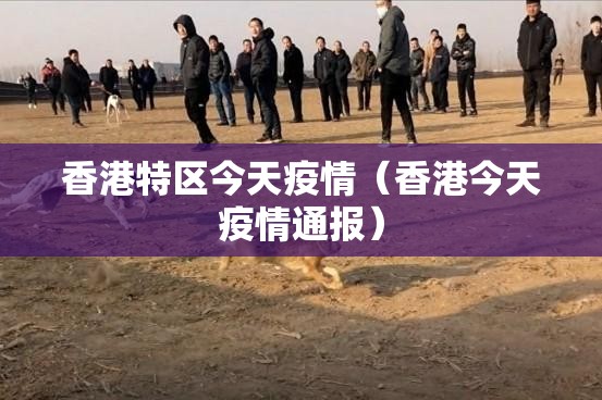 分析实测“大头十三水开挂有什么功能”最新辅助详细教程