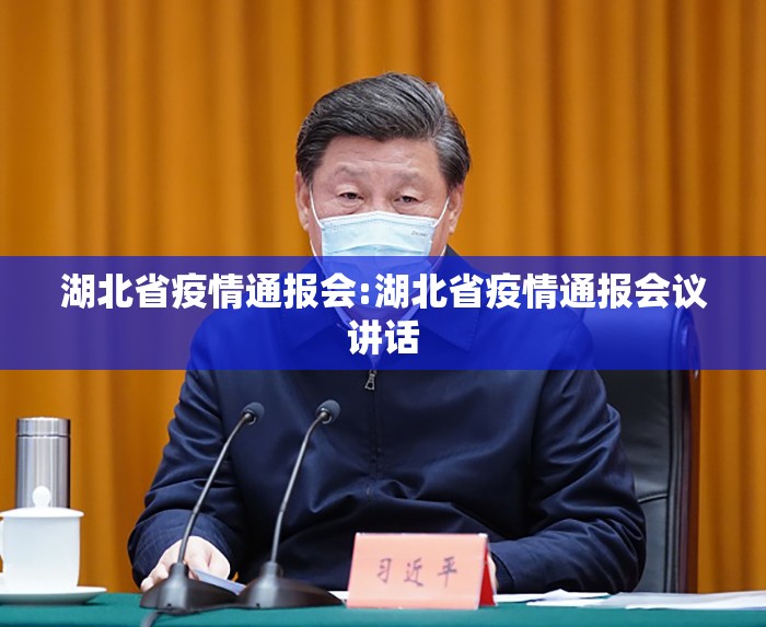 湖北省疫情通报会:湖北省疫情通报会议讲话
