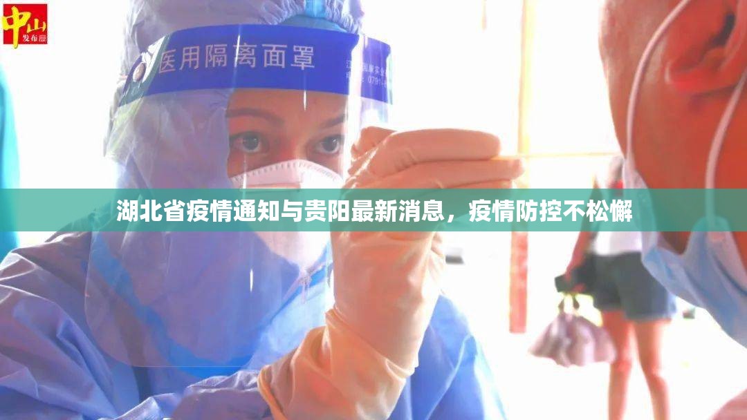 湖北省疫情通知与贵阳最新消息，疫情防控不松懈
