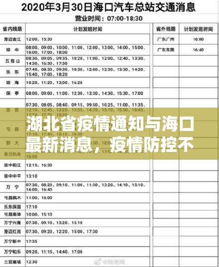 湖北省疫情通知与海口最新消息，疫情防控不松懈
