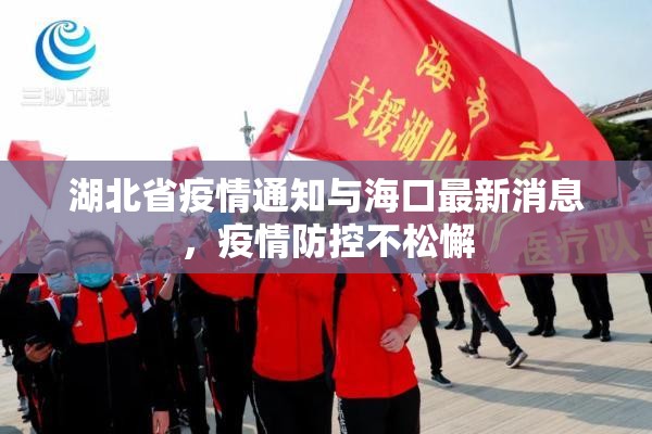 湖北省疫情通知与海口最新消息，疫情防控不松懈