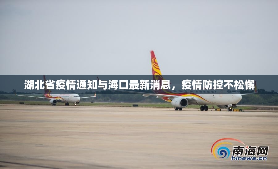 湖北省疫情通知与海口最新消息，疫情防控不松懈