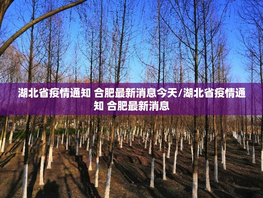 湖北省疫情通知 合肥最新消息今天/湖北省疫情通知 合肥最新消息