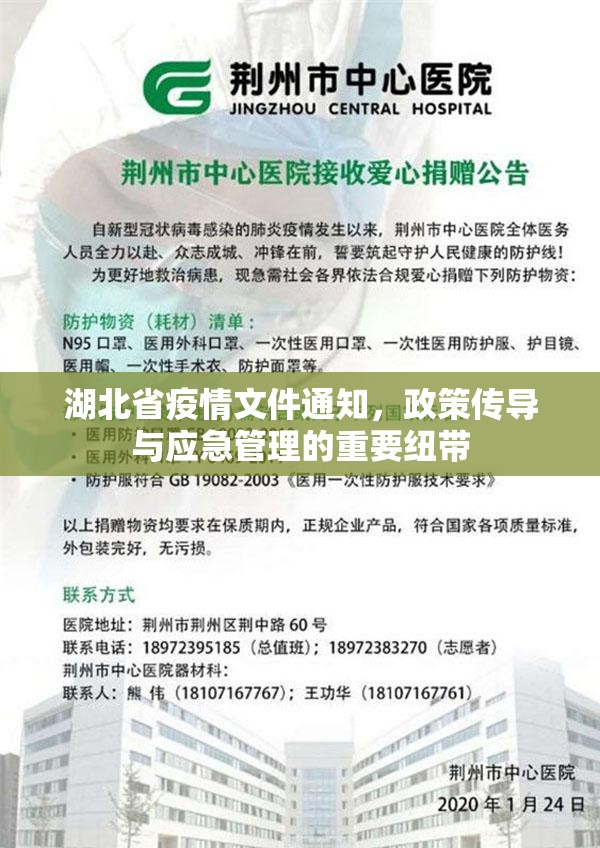 湖北省疫情文件通知，政策传导与应急管理的重要纽带