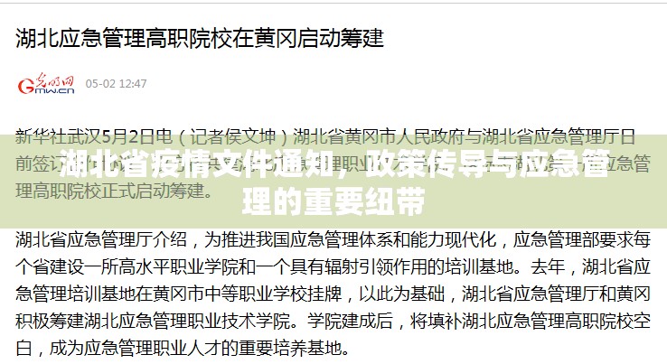 湖北省疫情文件通知，政策传导与应急管理的重要纽带