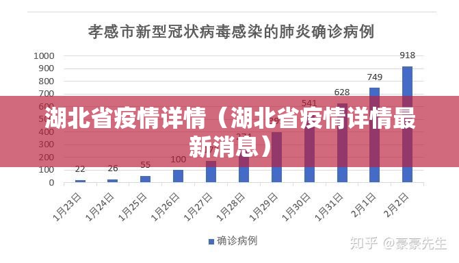 湖北省疫情详情（湖北省疫情详情最新消息）