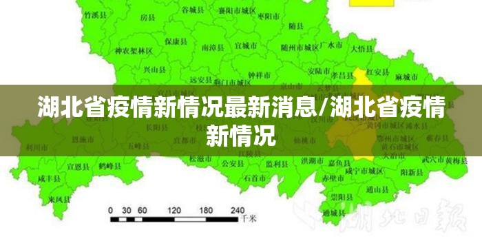 湖北省疫情新情况最新消息/湖北省疫情新情况