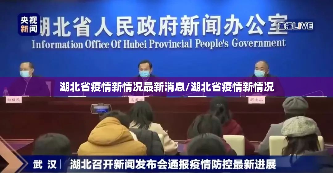 湖北省疫情新情况最新消息/湖北省疫情新情况