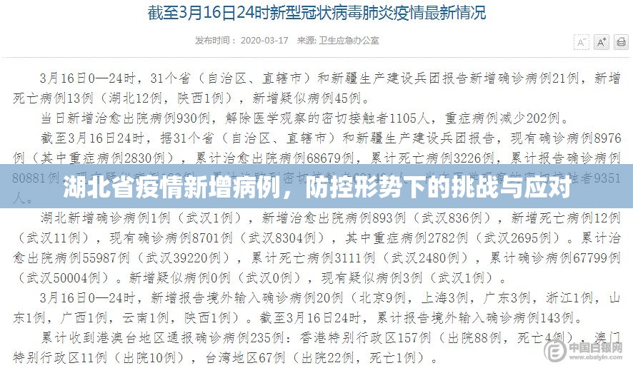 湖北省疫情新增病例，防控形势下的挑战与应对