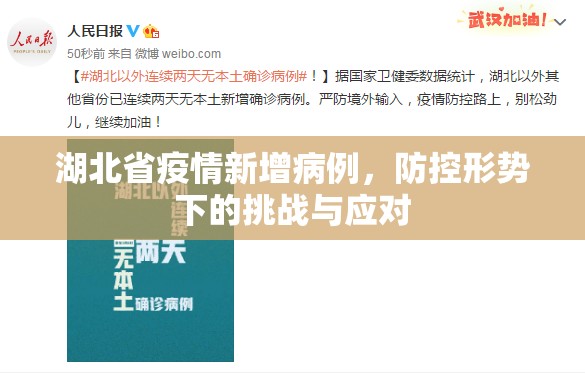 湖北省疫情新增病例，防控形势下的挑战与应对
