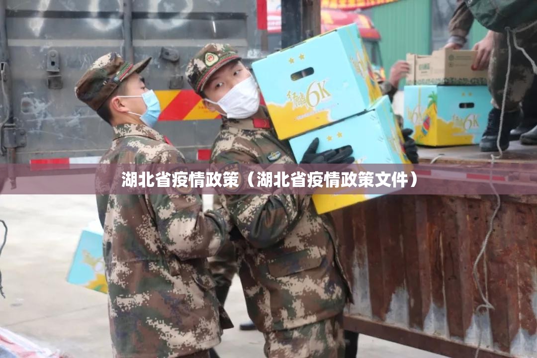 湖北省疫情政策（湖北省疫情政策文件）