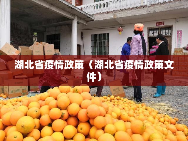 湖北省疫情政策（湖北省疫情政策文件）