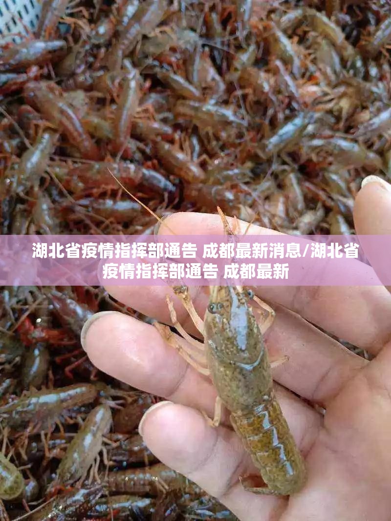 湖北省疫情指挥部通告 成都最新消息/湖北省疫情指挥部通告 成都最新