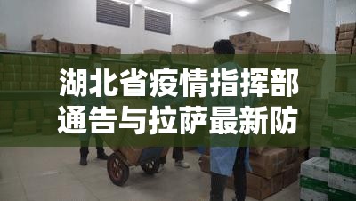 湖北省疫情指挥部通告与拉萨最新防控策略，双城记下的抗疫启示