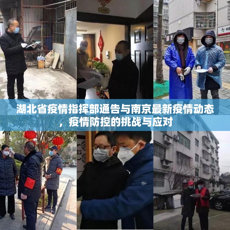 湖北省疫情指挥部通告与南京最新疫情动态，疫情防控的挑战与应对