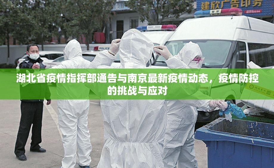 湖北省疫情指挥部通告与南京最新疫情动态，疫情防控的挑战与应对