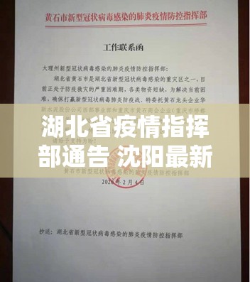 湖北省疫情指挥部通告 沈阳最新/湖北省疫情指挥部通告 沈阳最新消息
