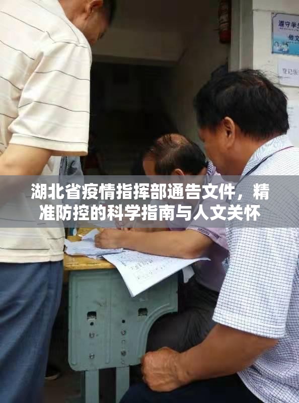 湖北省疫情指挥部通告文件，精准防控的科学指南与人文关怀