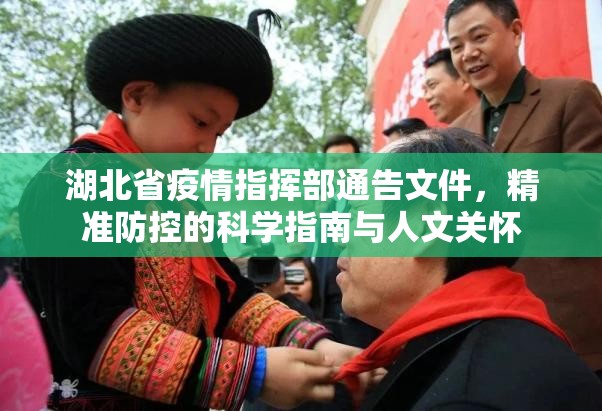 湖北省疫情指挥部通告文件，精准防控的科学指南与人文关怀