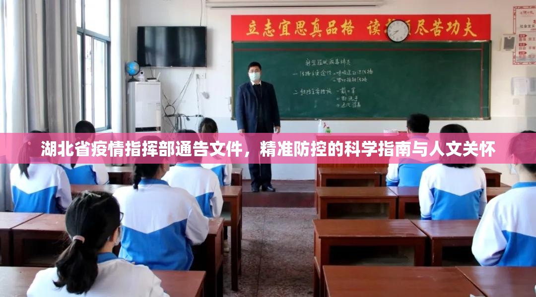 湖北省疫情指挥部通告文件，精准防控的科学指南与人文关怀