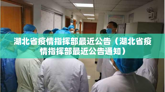 湖北省疫情指挥部最近公告（湖北省疫情指挥部最近公告通知）