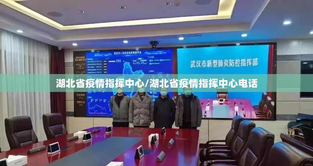 湖北省疫情指挥中心/湖北省疫情指挥中心电话