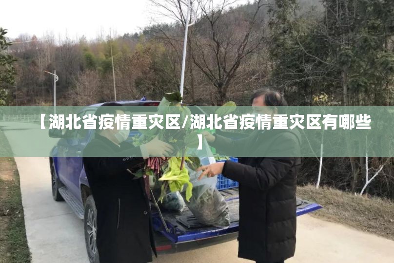 【湖北省疫情重灾区/湖北省疫情重灾区有哪些】