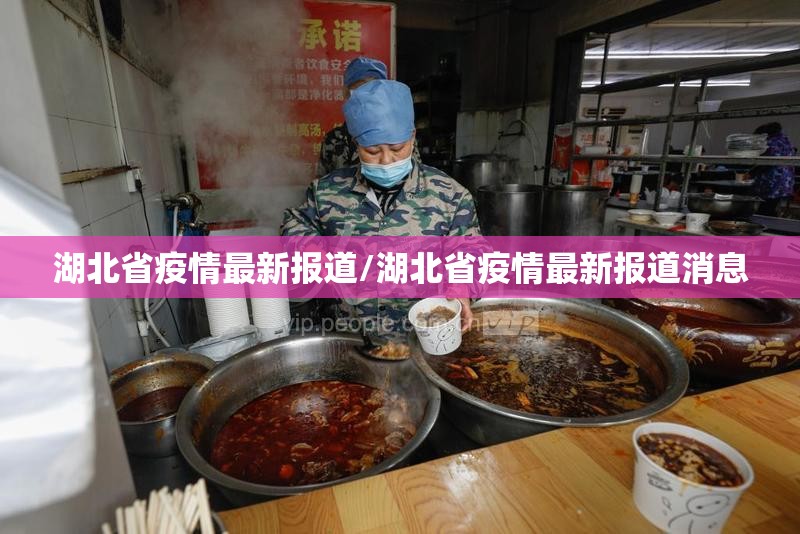 湖北省疫情最新报道/湖北省疫情最新报道消息
