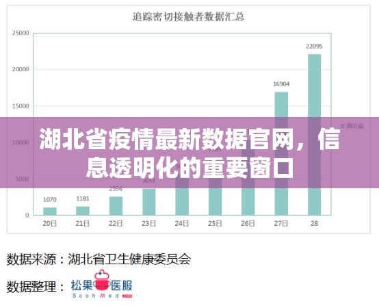 湖北省疫情最新数据官网，信息透明化的重要窗口