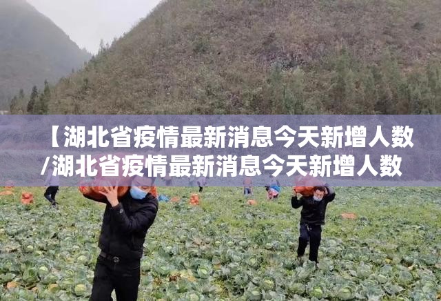 【湖北省疫情最新消息今天新增人数/湖北省疫情最新消息今天新增人数多少】