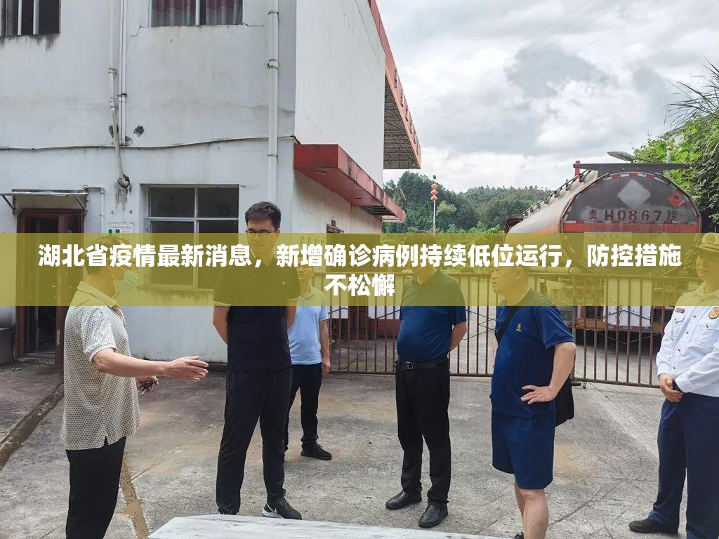 湖北省疫情最新消息，新增确诊病例持续低位运行，防控措施不松懈
