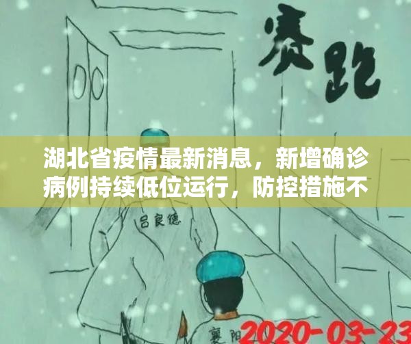 湖北省疫情最新消息，新增确诊病例持续低位运行，防控措施不松懈