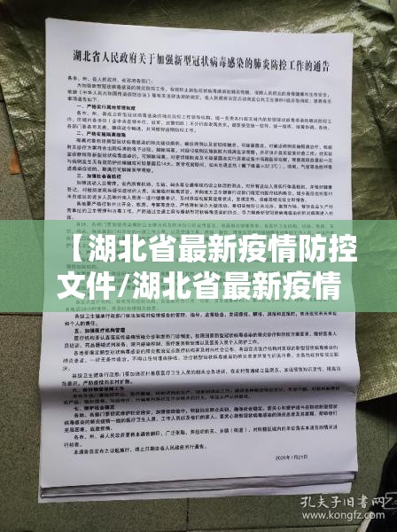 【湖北省最新疫情防控文件/湖北省最新疫情防控文件通知】