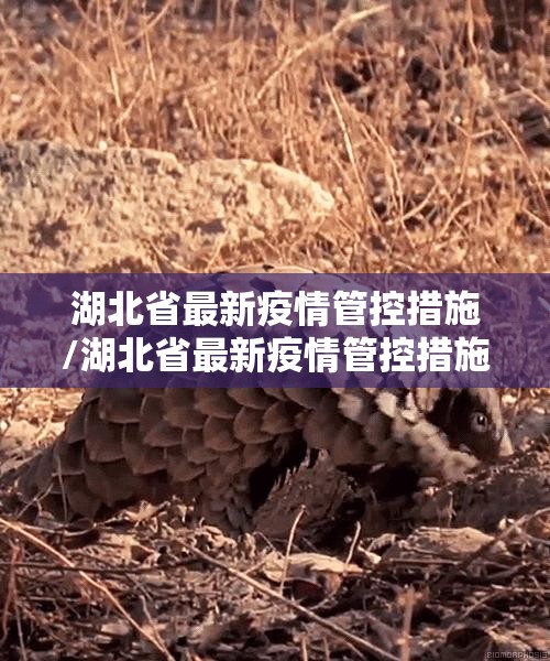 湖北省最新疫情管控措施/湖北省最新疫情管控措施公告