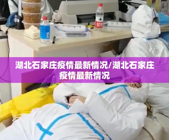 湖北石家庄疫情最新情况/湖北石家庄疫情最新情况