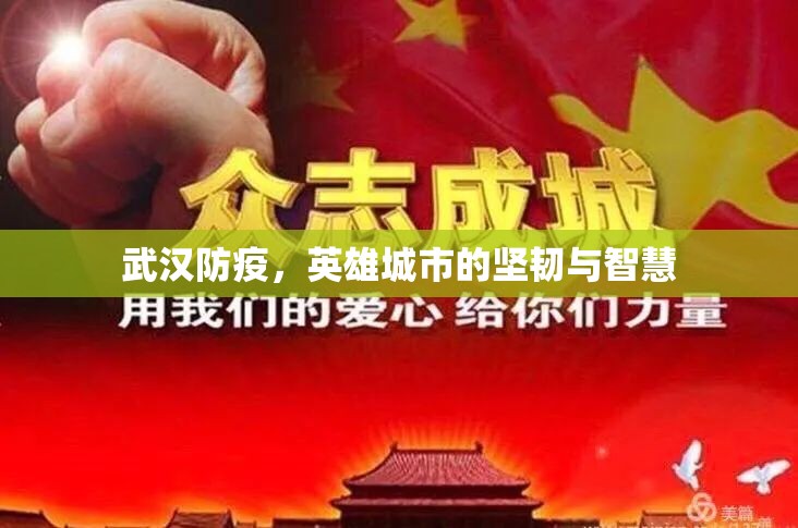 武汉防疫，英雄城市的坚韧与智慧