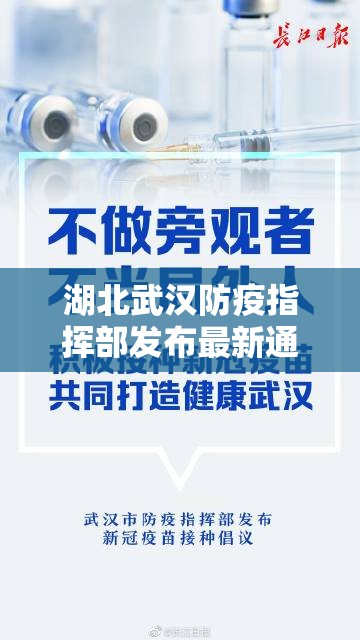 湖北武汉防疫指挥部发布最新通知，精准防控与常态化管理并重
