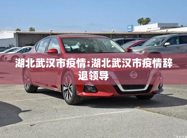 湖北武汉市疫情:湖北武汉市疫情辞退领导