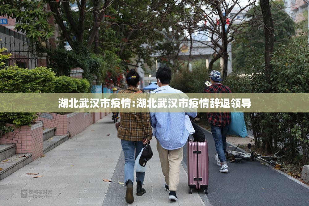 湖北武汉市疫情:湖北武汉市疫情辞退领导