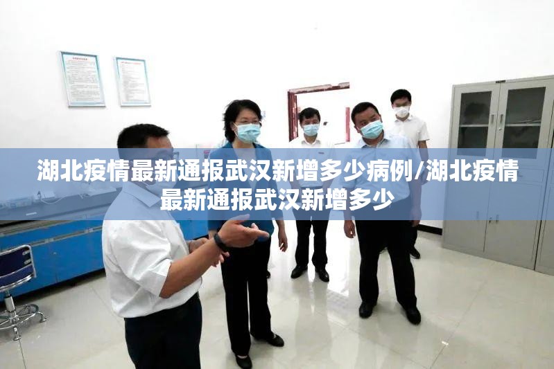 湖北疫情最新通报武汉新增多少病例/湖北疫情最新通报武汉新增多少