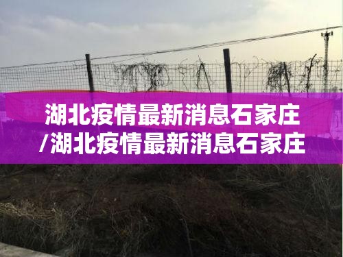 湖北疫情最新消息石家庄/湖北疫情最新消息石家庄封城了吗