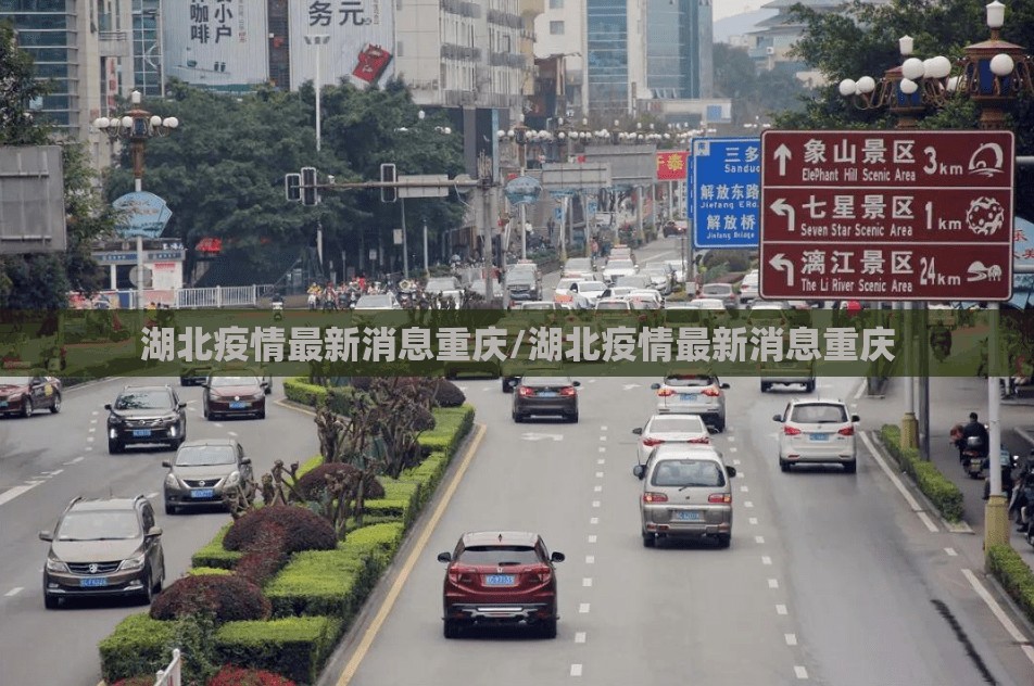 湖北疫情最新消息重庆/湖北疫情最新消息重庆