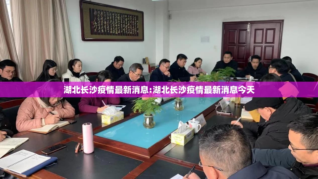 湖北长沙疫情最新消息:湖北长沙疫情最新消息今天