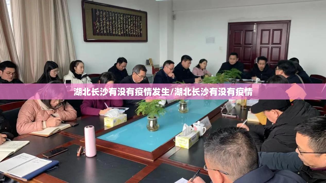 湖北长沙有没有疫情发生/湖北长沙有没有疫情