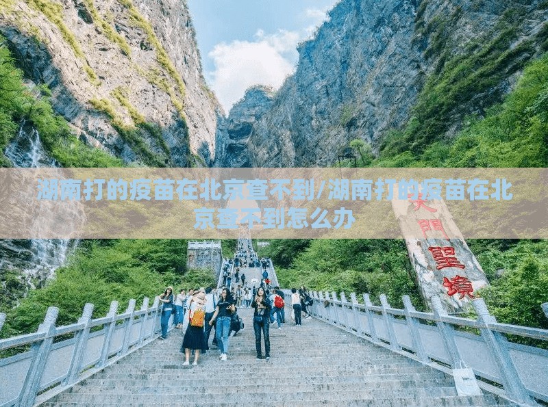 湖南打的疫苗在北京查不到/湖南打的疫苗在北京查不到怎么办