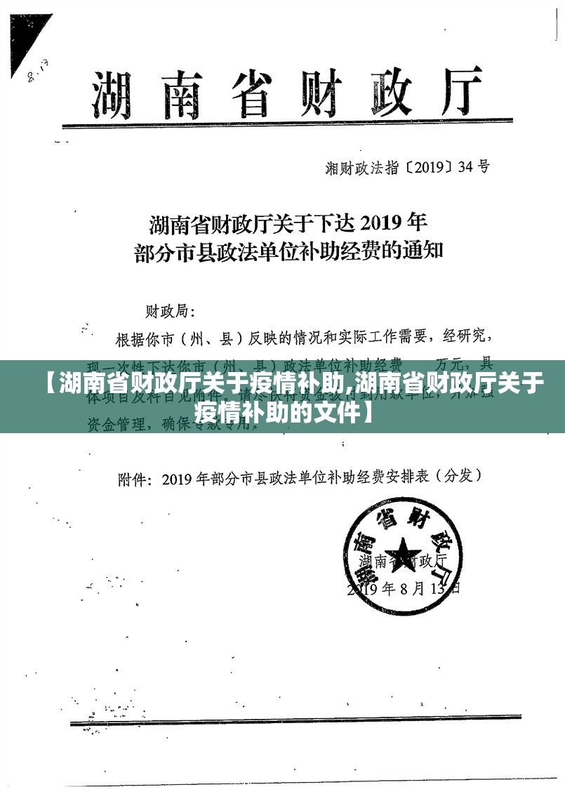 【湖南省财政厅关于疫情补助,湖南省财政厅关于疫情补助的文件】